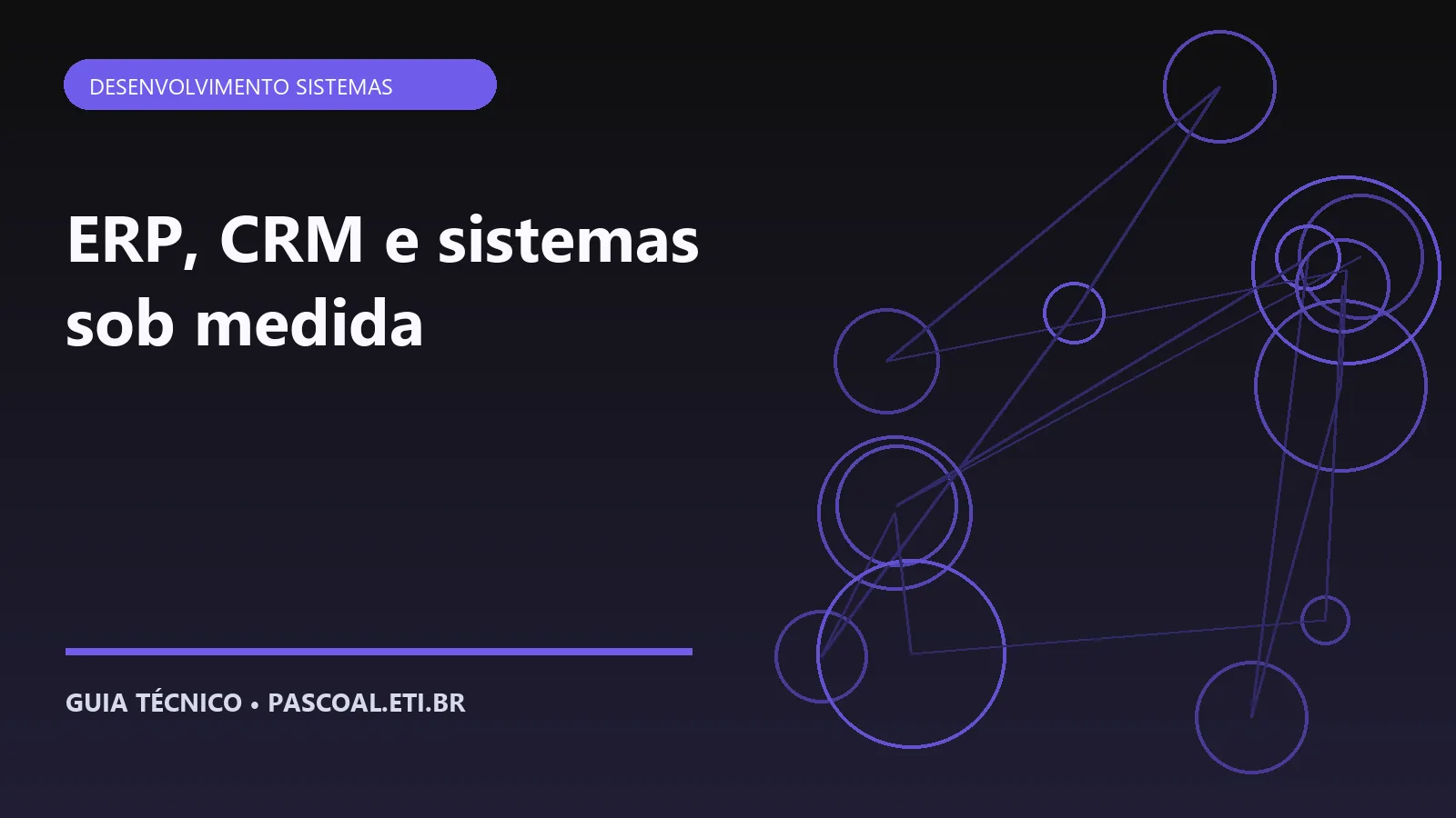 Ilustração editorial sobre ERP, CRM e sistemas sob medida.